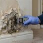 Water Damage and Mold Risks Every Brea Homeowner Should Know 85x85
